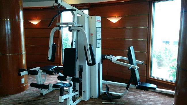 ホテルに戻りジムに行く。ストレッチの後、肩に負荷のかかるバタフライやショルダープレスを錘を最弱にしてやってみる。ゴリゴリと音はするが痛みは少ない。10回を２セットやる。マッサージの効果が確認できたので止める。