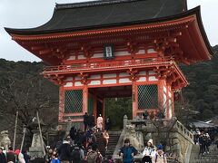 お腹も満たされたところで、坂を上り切り清水寺へ。
おおー修学旅行以来。