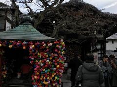 道の途中にあった、八坂庚申堂。
庚申信仰の神社ですね。
吊るされている何かかキュート。