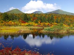 ☆Aomori★

「睡蓮沼」
ロープウェイ駅から更に進んで行くと睡蓮沼に到着。睡蓮沼は全くノーマークやったけど、車が数台停まってたので立ち寄ってみた感じだ。こんな絶景があったなんて知らんかった。水面の葉は睡蓮科のエゾヒツジグサで、これから睡蓮沼と由来してるらしい。