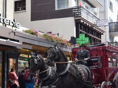 グリンデルワルトから3回乗り換えて約3時間、いよいよ今回スイスの旅で一番楽しみにしていたツェルマットに到着です。軽井沢行ったことありませんが、こんな感じなのかな？