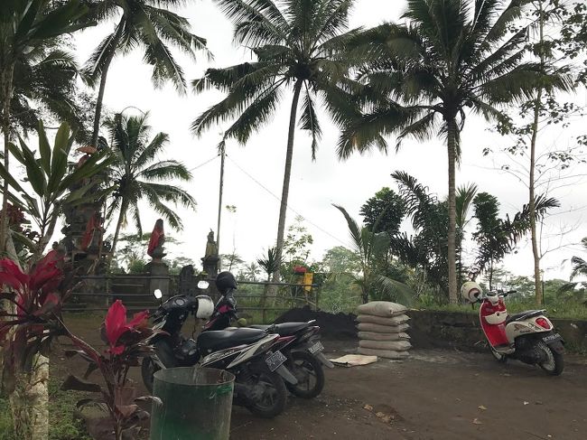 朝９時くらいにBali人の友達に<br />迎えに来てもらってウブドを出発。<br />Tukad Capung Waterfallへ。<br />（GMapで検索できます）<br /><br />ウブドからギャニャールを<br />（Gianyar)を抜けて約１時間。<br />近くまでいくと案内板が<br />出てきます。<br />Bali人の友達は今回の滝は<br />初めてでした。<br />案内板どおりに進んで行くと<br />パーキング到着。<br /><br />こんな感じ。<br />バイクが数台と、車が２台。<br />