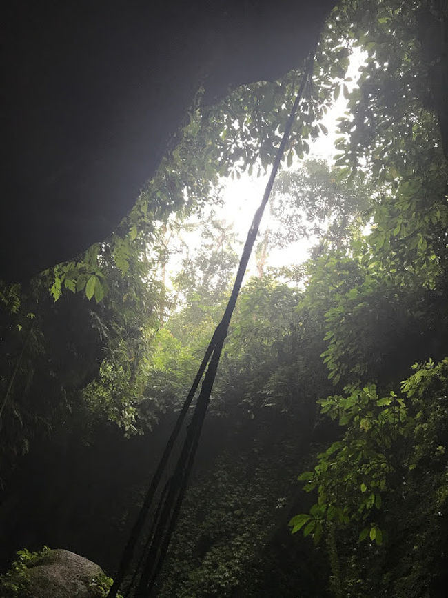 滝の反対側もきれいです。