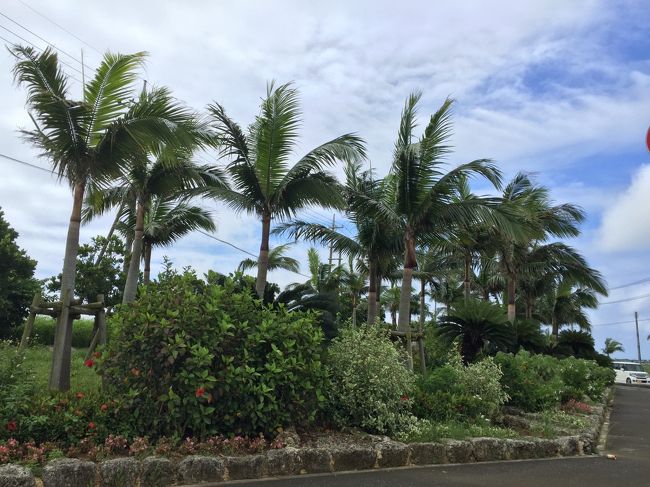 石垣島　初上陸<br />