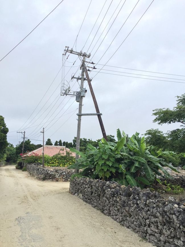 ドラマで見たことがあるオレンジの屋根<br />低い屋根に、妙に電線が無造作に配線されているのが目立つわ。