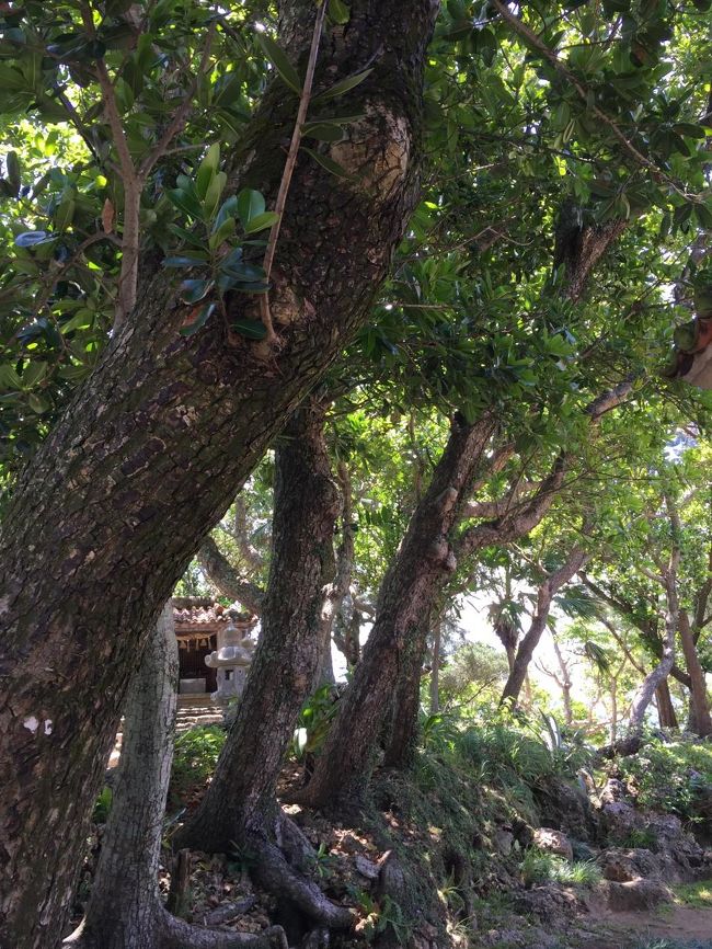 ここの先には、すっばらしい景色が待っています。<br />駐車場から歩く遊歩道