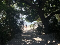 無事に観光バスにのり星砂浜へ。木の間を抜けると海。いいですよね。