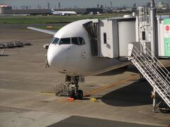 定刻より少し早く出発しましたが、羽田空港の到着は約4分遅れました。
降機後、搭乗した機材を撮影。