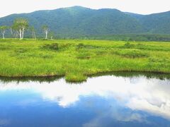 池塘に青空、拠水林