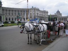 ホーフブルク宮殿へ。王宮前の馬車が懐かしい。これに乗って街を巡るのもいいかも