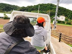 千倉オレンジセンター
落花生とりに畑へ
お父さんの軽トラの荷台にのせてもらう