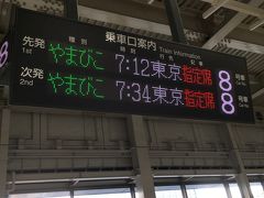 早朝，自宅から次女に車で最寄りの地下鉄駅まで送ってもらい，旅がスタート！
仙台駅，東北新幹線7:12発やまびこで東京へ向かいます．

