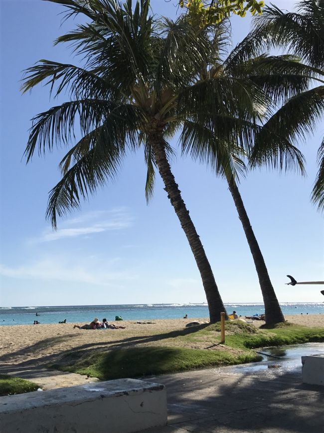 日陰で風が気持ちよくて、もうすこしこの前でいたい所ですが…<br /><br />最後にウォルマートに寄ってお買い物をして、ヒルトンに戻りました<br /><br />もちろん子供達は早々に寝ましたが…<br /><br /><br />私には荷造りが待っていました(>_<)<br /><br />７泊は長いようであっという間<br /><br />明日は帰るだけです<br /><br /><br />ここまで読んで頂いた皆様！どうもありがとうございました(*´꒳`*)<br /><br />
