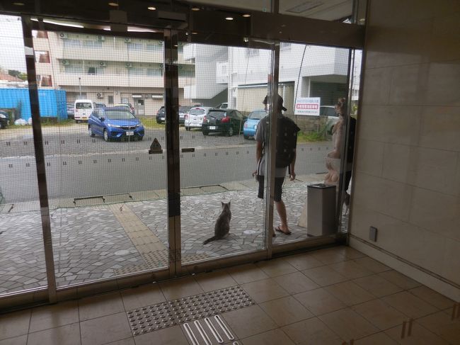 　猫ちゃんも大人しかったなぁ・・・。