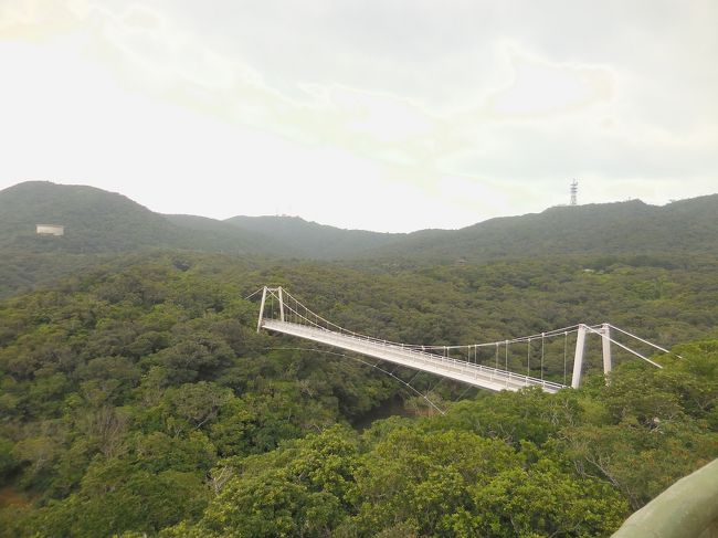 　ここまで来たら風は大分穏やかに。雨もあがっていたので助かりました。