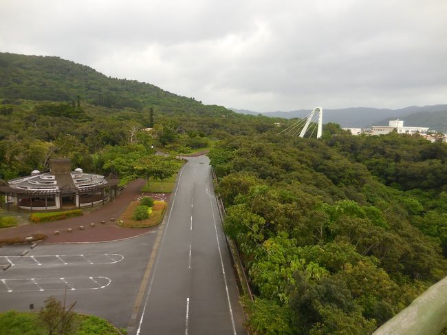 　展望台からの眺め。