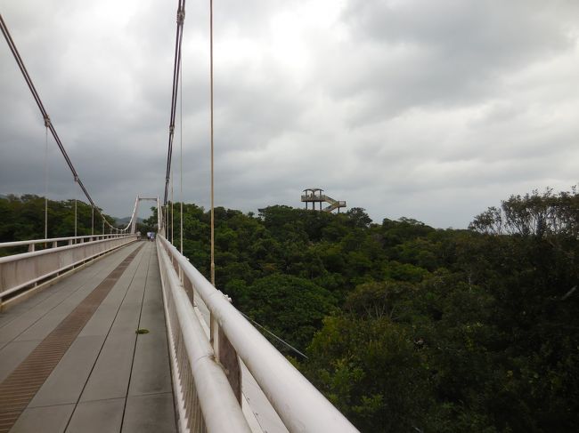 　こんな感じの高い場所はあまり好きじゃあない。