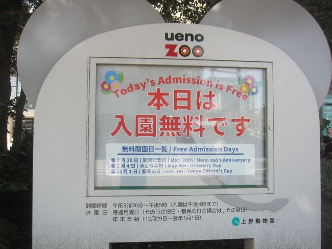 今日はただだからっ 童心に帰って上野動物園へ 上野 御徒町 東京 の旅行記 ブログ By かつのすけさん フォートラベル 今日はただだからっ 童心に帰って上野動物園へ 上野 御徒町 東京 の旅行記 ブログ By かつのすけさん フォートラベル