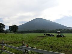 最後に訪れたのは、桝水高原からもすぐ近くの、「大山まきばみるくの里」です。写真は向かいの敷地ですが、ちょうど牛が餌を食べているところでした。