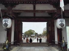 あいにくの雨でしたが京都旅行２日目は東寺から。

京都駅前のホテルに宿泊した私たち。
東寺は元々は行く予定のお寺ではなかったのですが、夜部屋で地図を見ていたところ、東寺が京都駅から徒歩圏内にある事を発見して行ってみる事にしました。１５分程かかりました。

