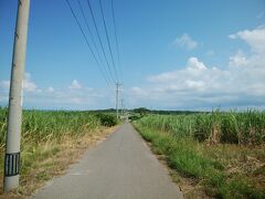 そして、シュガーロード。
結構アップダウンがあるのに、そーゆー写真にならない残念さ。