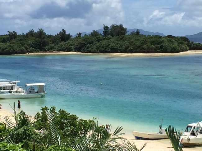 小鳥のさえずり<br />風<br />波の音<br />コラボレーション