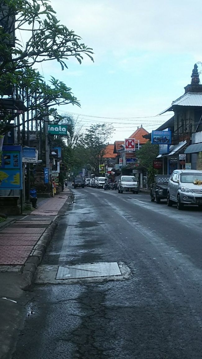 朝のモンキーフォレスト通り。静かです。時間は7時半すぎくらい。<br />人も少なく、店の前をお掃除してる人とかドライバーの車を待ってる旅行者とか。<br />あ、お散歩してるワンコは多かったです。