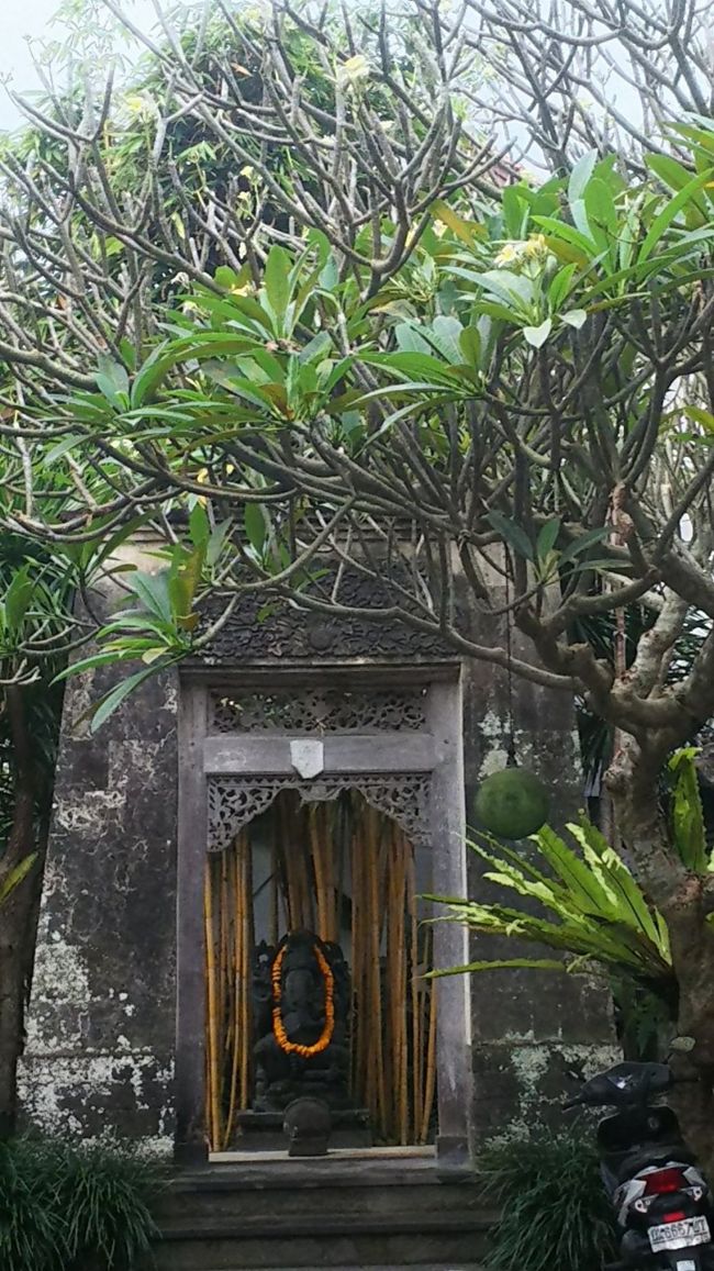 朝の空気がひんやりして気持ち良い。