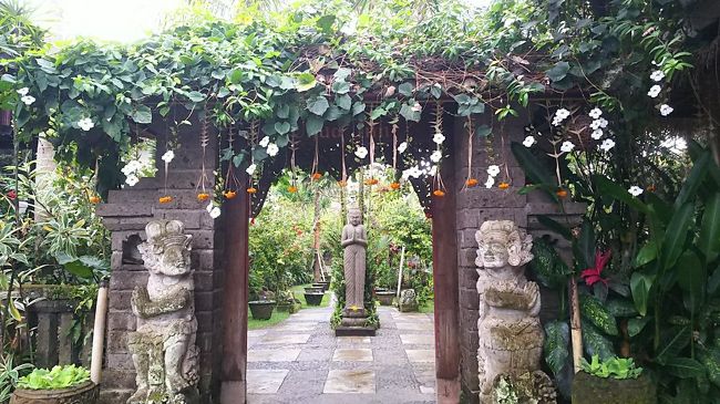 綺麗なお花がぶら下がってた。<br />ホテルの入口でした…名前忘れちゃったけど。