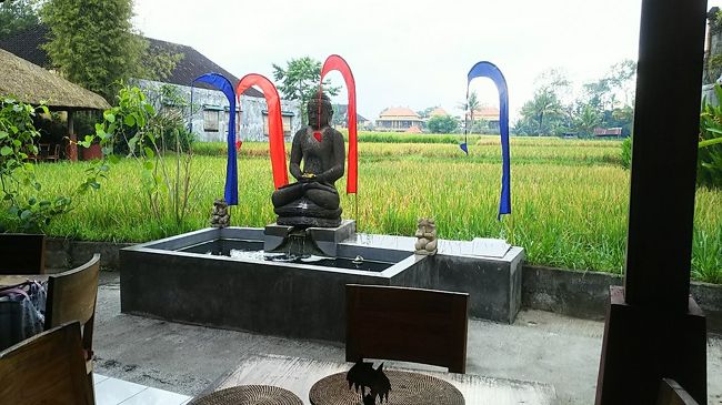 お店の間口は狭くても、うなぎの寝床のように縦にながーいカフェでした。<br />つきあたりがライスビュー。とても良い眺めです。<br />もちろん他に誰もいないので、ベスポジをゲット♪