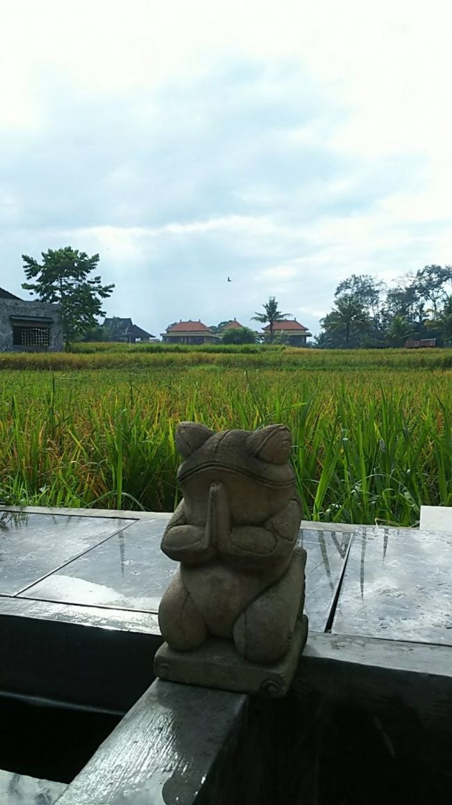 お祈りカエルちゃん