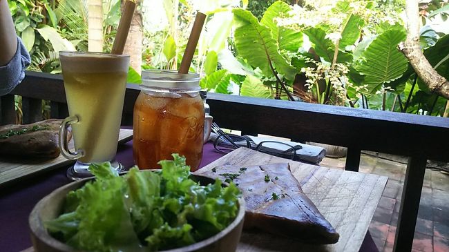 お店の奥には野生チックな植物たちが