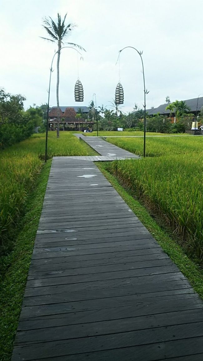 お腹いっぱいになったし、腹ごなしにぷらぷら歩きながらホテルまで歩きました。<br />雑貨屋さんとか見ながら、12時のチェックアウトまでに戻ろう～<br /><br />3日目その2につづきます。