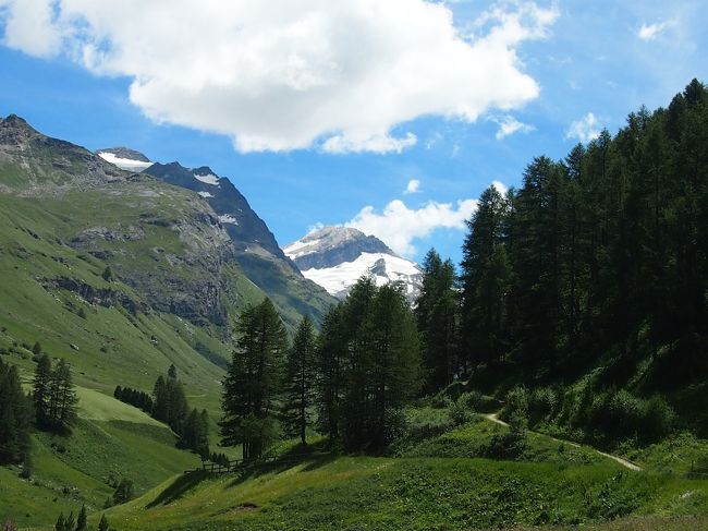 フェックス谷は許可された住民のみしか車の乗り入れが禁止されているので、歩くか、自転車か、観光馬車が手段です。