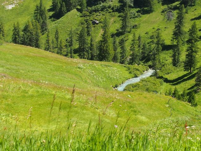 花が咲き乱れ、清冽な小川の流れ、緑の木々、、穏やかな時間です。