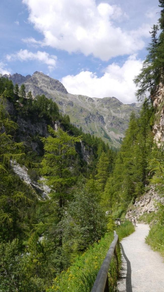 この坂を下るとシルスマリアの町が見えてきます。