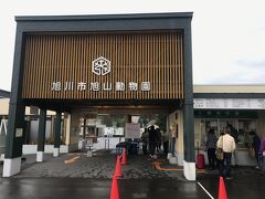 旭山動物園9:30開園直後に到着するも、すでに第一駐車場はかなりとまっていたが入れた。入口入ってから小雨のため傘を借りる。