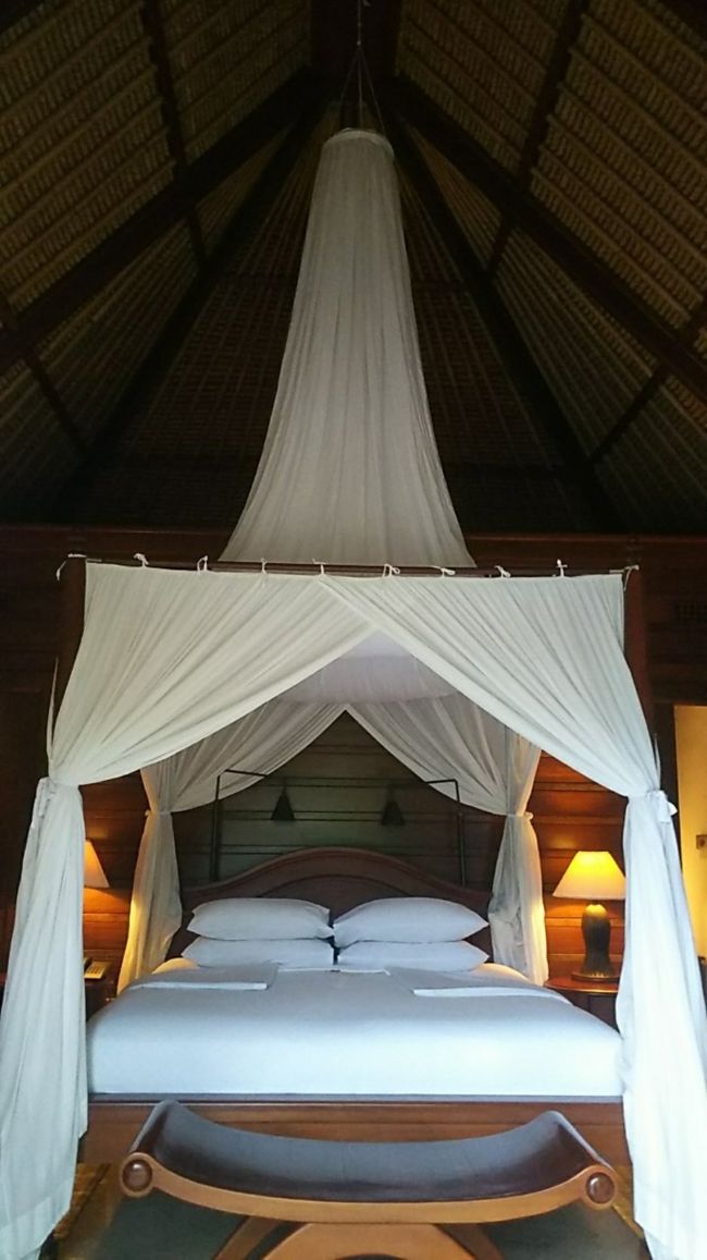 天井&amp;天蓋が高い