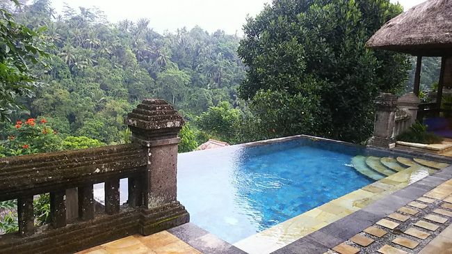 朝起きたらベッドからこんな景色が目に入るなんて・・・幸せ～