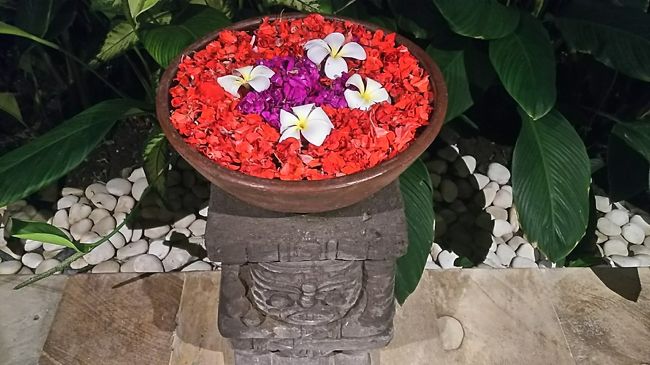 綺麗に飾られてます