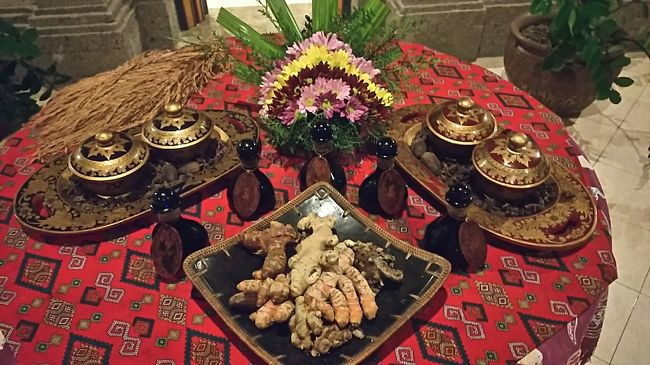 コマネカのスパにもこんな風にジンジャー的なモノが置いてあったよね