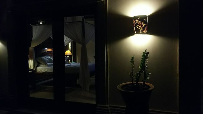 虫対策として、ドアとか窓辺に吊り下げる系の虫除けと、お部屋にシュッとスプレーすると蚊がいなくなるスプレーを持参してました。<br />総じていうと、たいして虫はいなかったんだけどスプレーはかなり効いてたと思います。実は翌々日、出かける前にバスルームの壁にバッタがいたんですよ。「あら・・・」と思ったけど、「そりゃライステラスがあんなにあるんだからバッタもいるわなー。もともとはあんたたちの領土なのに人間がジャマしてごめんね・・」などと思いつつ、スプレーをシュッシュしてから出かけたんですよね。・・・帰ってきたら、バッタちゃんかなり弱っちゃって床にいました。なんだか可哀そうになっちゃった(+_+)でも触れないから余ってるバスマットで掃くようにしてお外へ出しました。<br /><br />東南アジアのリゾートでおなじみのヤモリちゃんも、一度入って来そうだったのに帰って行っちゃったし。アリも…外にはいたけどな。ジュースの入ったグラス等を置きっぱなしにしないとか、少し気をつけていれば全く問題なかったです。<br /><br />私は普段、虫はまったくダメなんだけど・・・あの大自然の中にいるとたいして気になりませんでした。<br />