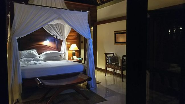 旅行中、蚊に刺されたのも二か所だけだったし。娘なんてどこも刺されなかったって。若い娘の方が好まれそうなのになんで。<br />虫除けスプレーもそんなに神経質に使ってた訳ではなく、ごく普通の頻度でしたよ。でも・・刺された箇所はいつまでたっても痒かったです！バリの蚊は強力！