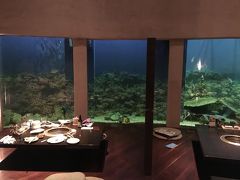 1ヶ月前に座席指定しました。
なんと。この日のこの時間帯はみな子連れ。
しかも水槽前の6席にしかお客さんがいないっていう、、、
私たちの席は【30番】です。
端なので子供が動き回っても多少大丈夫でした。