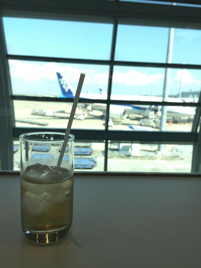 12:00羽田第二ターミナル着<br /><br />ANAの手荷物カウンターはいつの間にか自動になっていてビックリ。<br />楽しそうだったので預けてみたのですが、よくよく考えると持ち込み可能サイズだったのでそのまま持って入った方が移動がスムーズだったなと。<br />カードラウンジでは食べ物はなく、ドリンクのみいただきました。<br /><br />13:15出発予定のANA473便は20分遅れ。<br />さらに15:45那覇着予定が50分遅れとなりました。