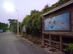 洲仔湿地公園の前の道路