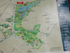 「東京都立井の頭恩賜公園」です。
近くにお住まいの方々や仕事されている方々のオアシスですねぇ
駅のすぐ近くなのに広い公園です。