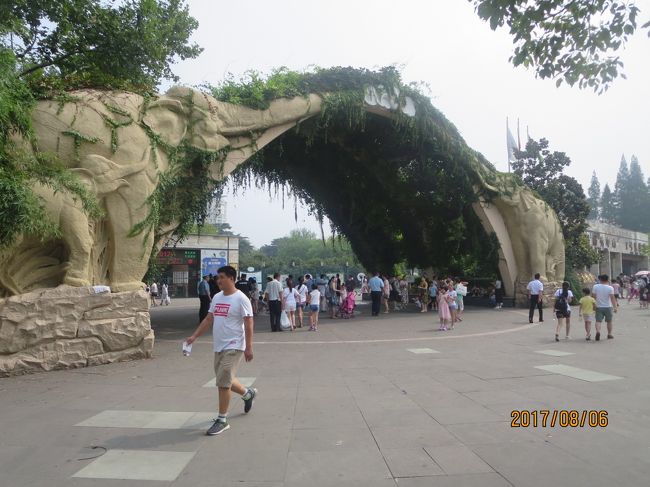 またもや自分の「感」に自信を失いかけたときに，上海動物園のシンボルマークである２頭の象の鼻でデザインされたゲートが見えてきた。<br /><br />