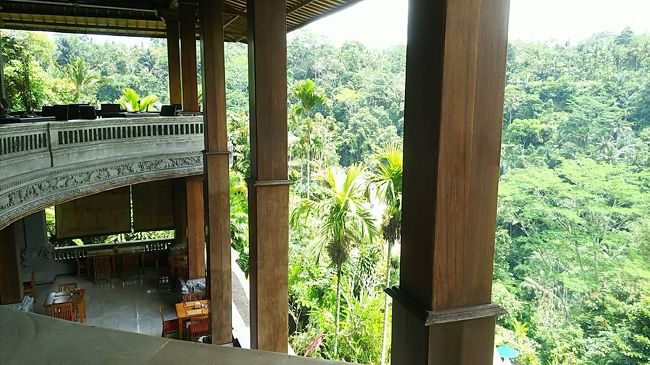 うわ～～ぉ！！この景色はすごいっ！！！（また語彙を消失してる