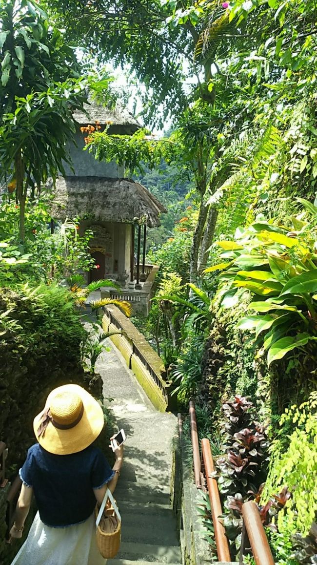 湧水プールを見てみたくて、とにかく広そうなのでフロントに聞いたんです。湧水プール…なんと言えばいいのか分からなくて「スピリチュアルなプールはどこ？」と聞いたら「・・・Holy Spring Pool のことね？」と(^_^;)　道順聞いたらなんだかすごく遠そうだったけどとりあえずGO！<br /><br />途中に見晴デッキみたいのがあったり。<br />正面のデッキはエレベータがあって、そこから下におります。